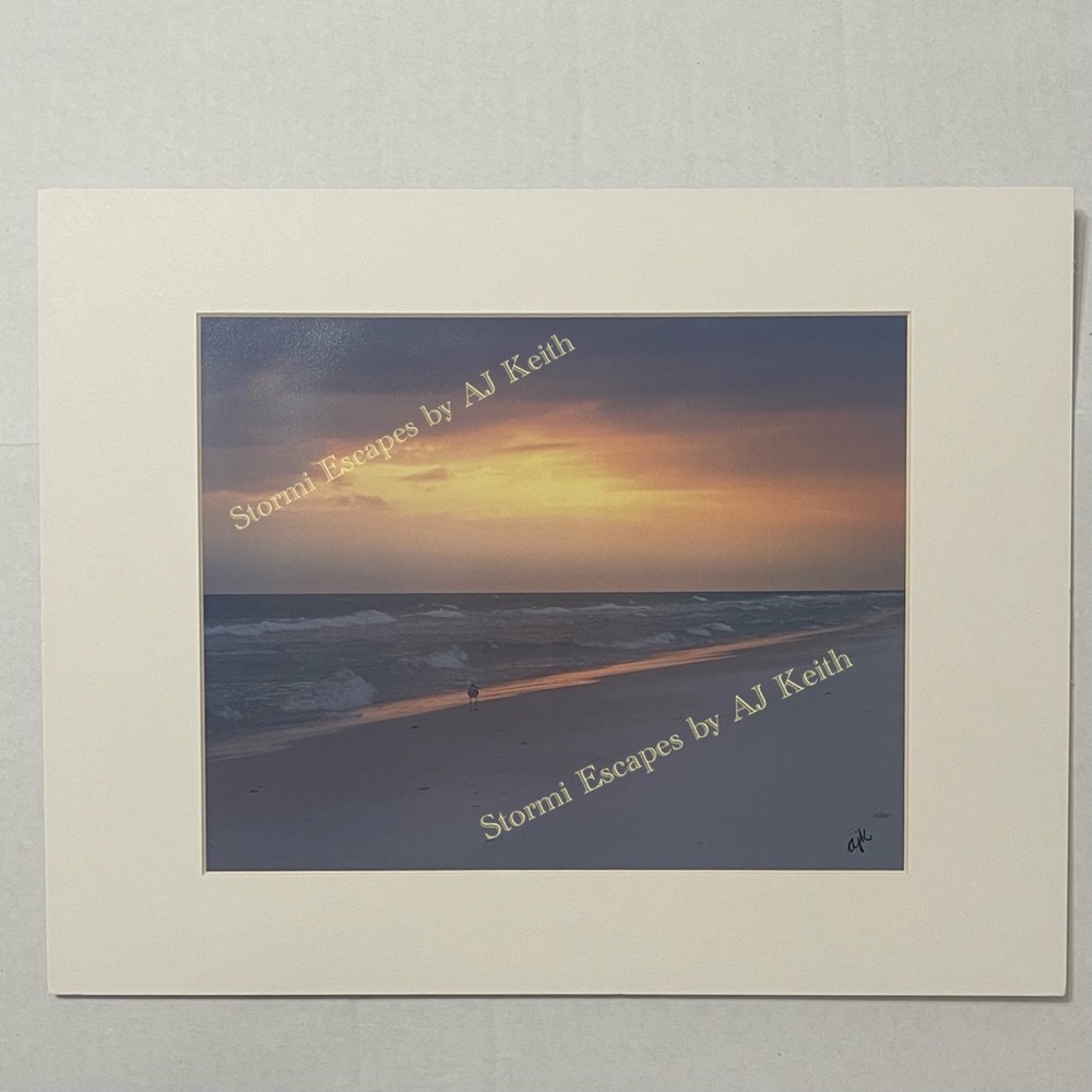 Mexico Beach, FL on the Gulf of Mexico  
photo ready to frame and hang